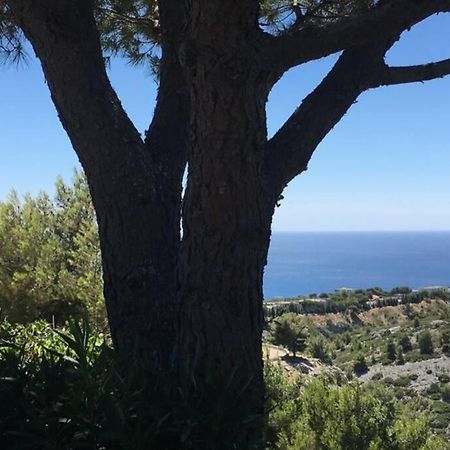Magnifique Studio Cassis Buitenkant foto