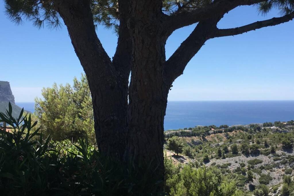 Magnifique Studio Cassis Buitenkant foto